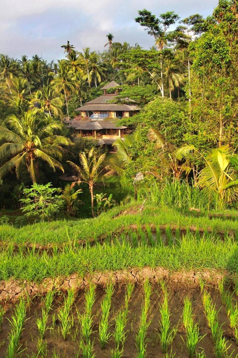 Lumina Residences And Wellness Sanctuary Ubud  Luaran gambar